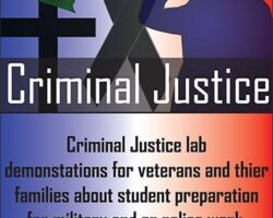 criminal justice