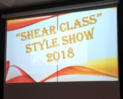 shear class